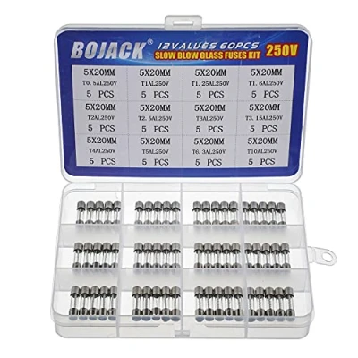 Afbeelding van BOJACK 12 verschillende soorten zekeringen 60 stuks langzaam werkende glaszekeringen assortimentset 5x20 mm 250V T0,5A 1A 1,25A 1,6A 2A 2,5A 3A 3,15A 4A 5A 6,3A 10A in een transparante kunststof doos.
