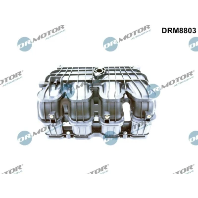 Afbeelding van Dr.Motor Automotive Inlaatspruitstuk module DRM8803