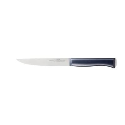 Afbeelding van Opinel Intempora N220 vleesmes 16cm RVS/POM kunststof doos