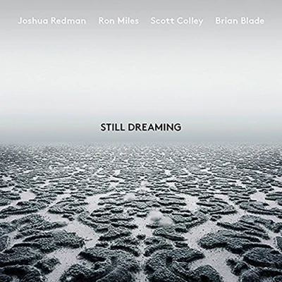 Afbeelding van Still Dreaming (LP)