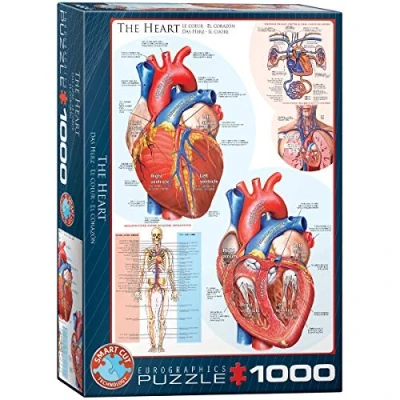 Afbeelding van Eurographics DAS HERZ Puzzel voor kinderen, Maat: One Size, Multicoloured