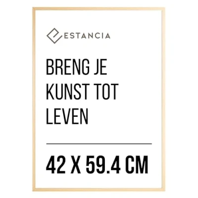 Afbeelding van Eikenhouten Houten Fotolijst 42x59,4 cm (A2) met Onbreekbaar Plexiglas Moderne Lijst frame Din A2