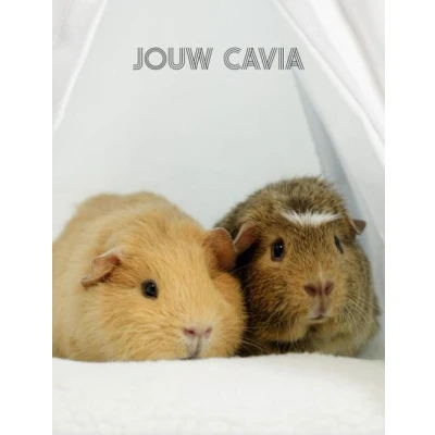 Afbeelding van Jouw Cavia (Hardback)