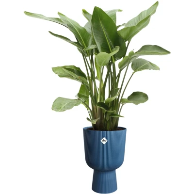 Afbeelding van Elho Vibes Fold Coupe 30 Bloempot voor Binnen 100% Gerecycled Plastic Ø 29.5 x H 44.7 cm Diepblauw