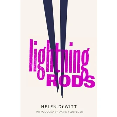 Afbeelding van Lightning Rods: Shortlisted for the 2013 Bollinger Everyman Wodehouse Prize comic fiction
