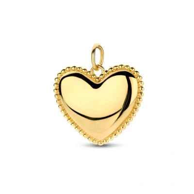 Afbeelding van goud (geelgoud) hanger hart 4024450