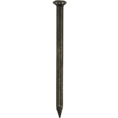 Afbeelding van DQ stalen nagel 2.0x40mm bkv (100st)