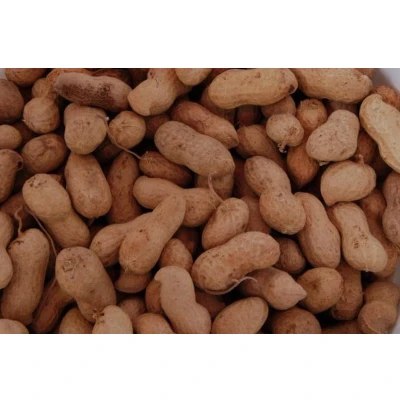 Afbeelding van Wielink Pinda’s in dop 500 gram