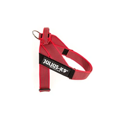 Afbeelding van JULIUS K 9, Color &amp; Gray, riem, M / 0