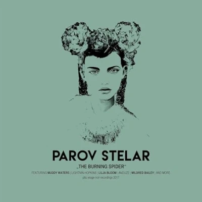 Afbeelding van Parov Stelar The Burning Spider (2 LP)