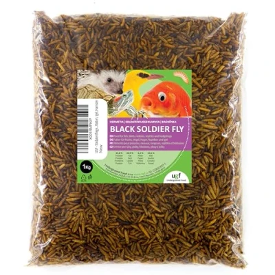 Afbeelding van UGF Hermetia Soldatenvliegenlarven (1 kg), 85 keer meer calcium dan levende meelwormen, BSFL vogelvoer, wilde vogels, het hele jaar door, voer voor schildpadden, ratten, egels, hamsters