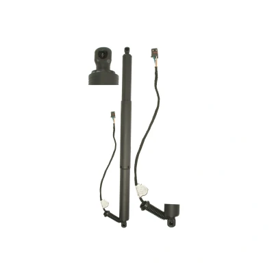 Afbeelding van Elektromotor, achterklep MAGNUM TECHNOLOGY MGS0198MT