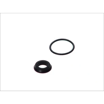 Afbeelding van Reparatieset, hoofdcilinder AUTOFREN SEINSA D1714