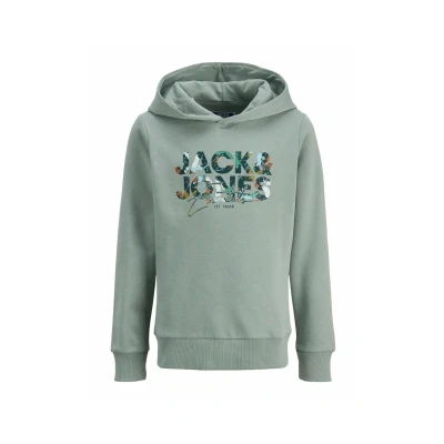 Afbeelding van Jack &amp; Jones Junior Jjgeplas HOOD Hoodie voor kinderen, Maat: 164, Iceberg green