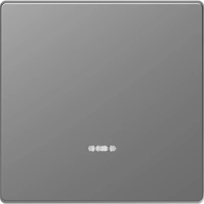Afbeelding van Merten MEG3320 6036 Wisselschakelaar Afdekking System Design RVS