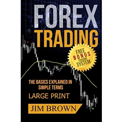 Afbeelding van Forex Trading The Basics Explained in Simple Terms FREE BONUS SYSTEM: Forex, for Beginners, Make Money Online, Currency Trading, Foreign Exchange, Strategies, Day Trading: 1