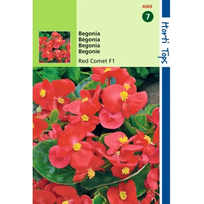 Afbeelding van Begonia F1 Rode Komeet