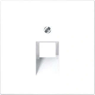Afbeelding van JUNG LS990 afdekplaat 1xRJ45/RJ11 grafietzwart mat LS969 1UASWM