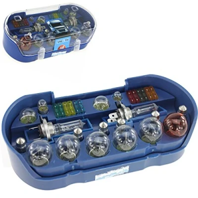 Afbeelding van Autolampen H4 12V (30x) set