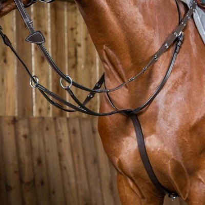 Afbeelding van Dy on Running Martingale Working Collection Brown Maat Full