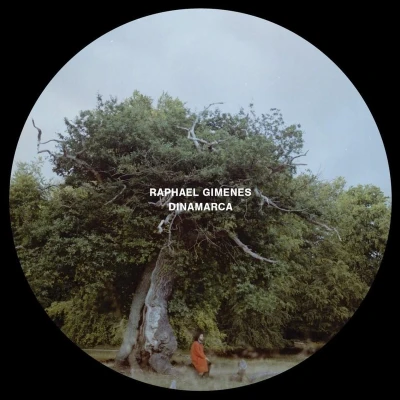 Afbeelding van Raphael Gimenes Dinamarca (LP)