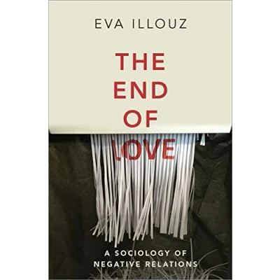 Afbeelding van The End of Love: A Sociology Negative Relations