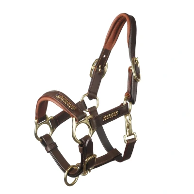 Afbeelding van MHS Leren Halster &quot;Glossy&quot; Mini Jaarling Bruin / Goud