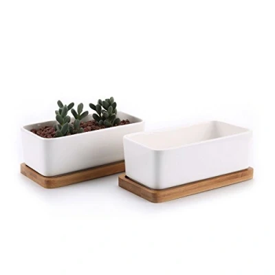Afbeelding van T4U 16,5CM Succulente Plantenpot Set van 2, Rechthoek Keramiek Vetplant Bloempot met Bamboe Onderzetter, Binnen Klein Cactus Pot Afvoergat Wit voor Sappige Aloë Kruid Decoratieve Geschenk