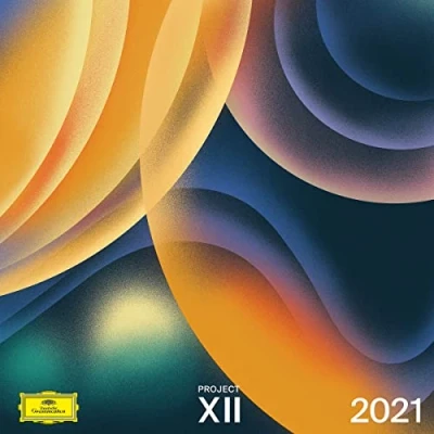 Afbeelding van Various Artists Project XII 2021 (LP)