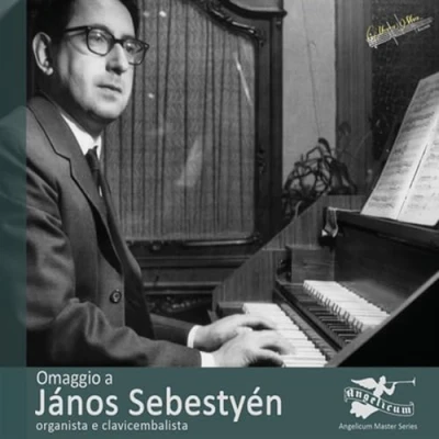 Afbeelding van Various Artists Omaggio A Janos Sebestyen (2 CD)