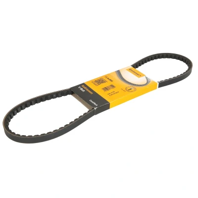 Afbeelding van V riem CONTINENTAL CTAM 11,9X885Ld