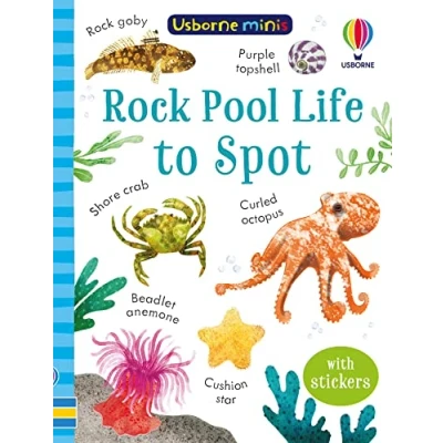 Afbeelding van Rock Pool Life to Spot