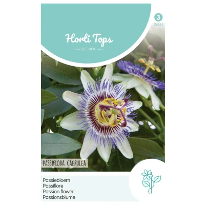 Afbeelding van Passiflora, Passiebloem