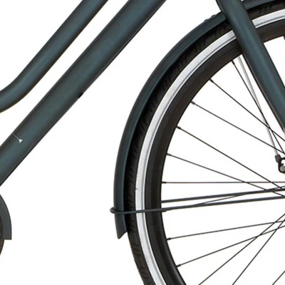 Afbeelding van Cortina Spatbord voor 28 Speed lake green matt