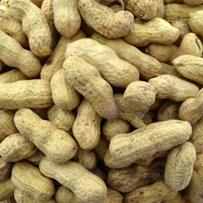 Afbeelding van Wielink Pinda’s in dop 10KG