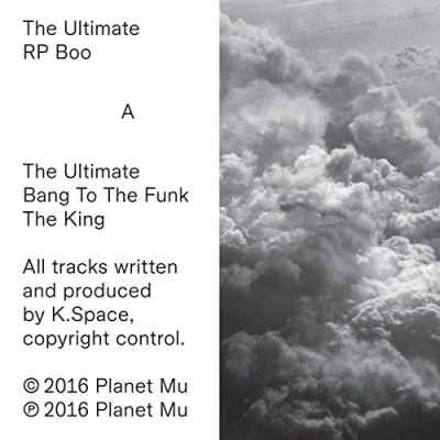 Afbeelding van The Ultimate (12&quot; Vinyl Single)