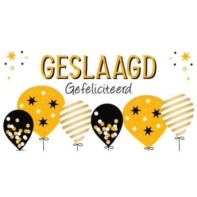 Afbeelding van Kaart Geslaagd SGP13 D gefeliciteerd