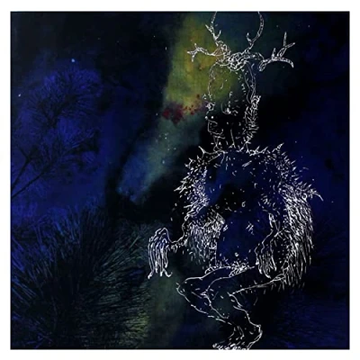 Afbeelding van Bardo Pond Under The Pines (LP)