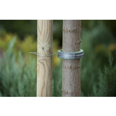 Afbeelding van Boomband met Schuimlaag voor Kwetsbare Bomen 2 Stuks Per Set