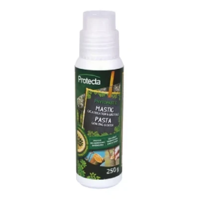 Afbeelding van Phytopast g 250g