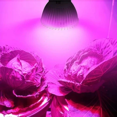 Afbeelding van Wankd led plantenlamp, 18 W, volledig spectrum, GU10, wit, plantenlicht voor kamerplanten, groeilamp tuin, bloemen, groenten, fruit (GU10)
