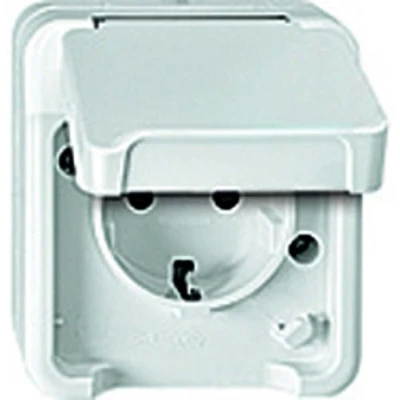 Afbeelding van Merten 4074946 AquaStar Compleet Wandcontactdoos met randaarde en klapdeksel spatwaterdicht Polar wit 2 voudig