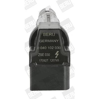 Afbeelding van Bobine BorgWarner (BERU) ZSE030