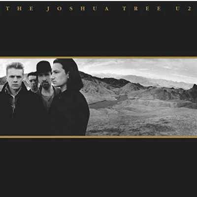 Afbeelding van U2 Joshua Tree (2 LPs)