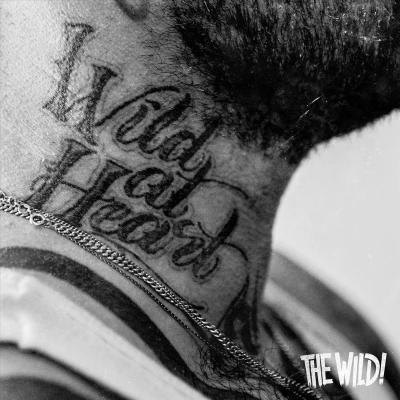 Afbeelding van Wild At Heart (LP)