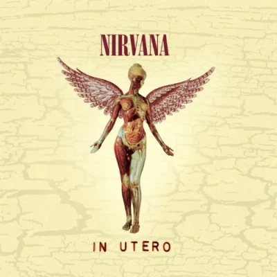 Afbeelding van Nirvana In Utero (CD) (20th Anniversary Edition)