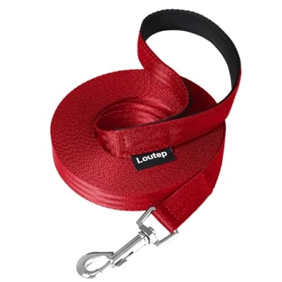 Afbeelding van Loutep Trainingslijn voor honden 3 m 5 10 15 20 25 30 sterk nylon touw extra lange lijn hondenriem met gewatteerde handgreep grote middelgrote kleine puppy terugroepactie huisdier wandelen gehoorzaamheid buitenspelen