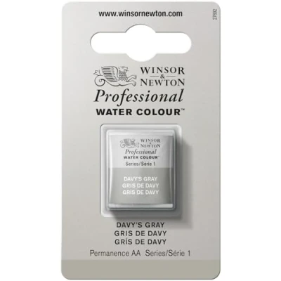 Afbeelding van Winsor &amp; Newton 0101217 Professional Water Colour, fijnste kunstenaars aquarelverf met de hoogst mogelijke pigmentatie, uitstekende lichtechtheid 1/2 Nap, Davy&#039;s Gray