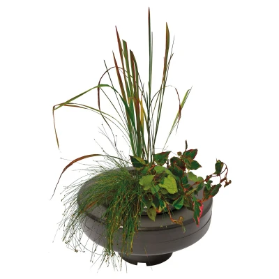 Afbeelding van Floating Plant Basket diameter 30 Cm vijver SuperFish