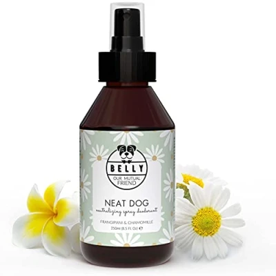 Afbeelding van BELLY Hondenparfum Spray Hondenverzorging Natuurlijke Honden Freshener voor een heerlijke Frangipani Kamille geur in de vacht Fris en Langdurig Eau Toilette Hond Hydraterend 250 ml